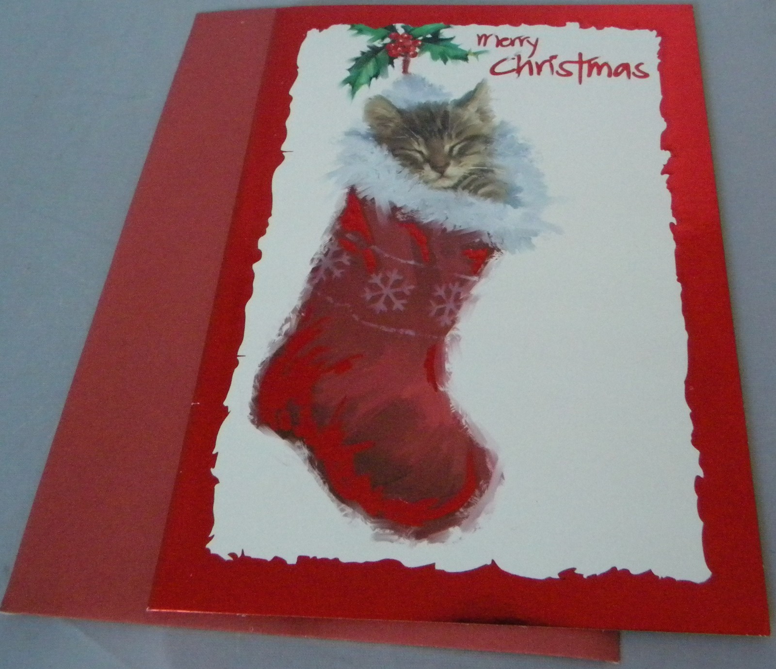 16Cnt Kitten In Stocking Foil Box Christmas Cards 5 x 7