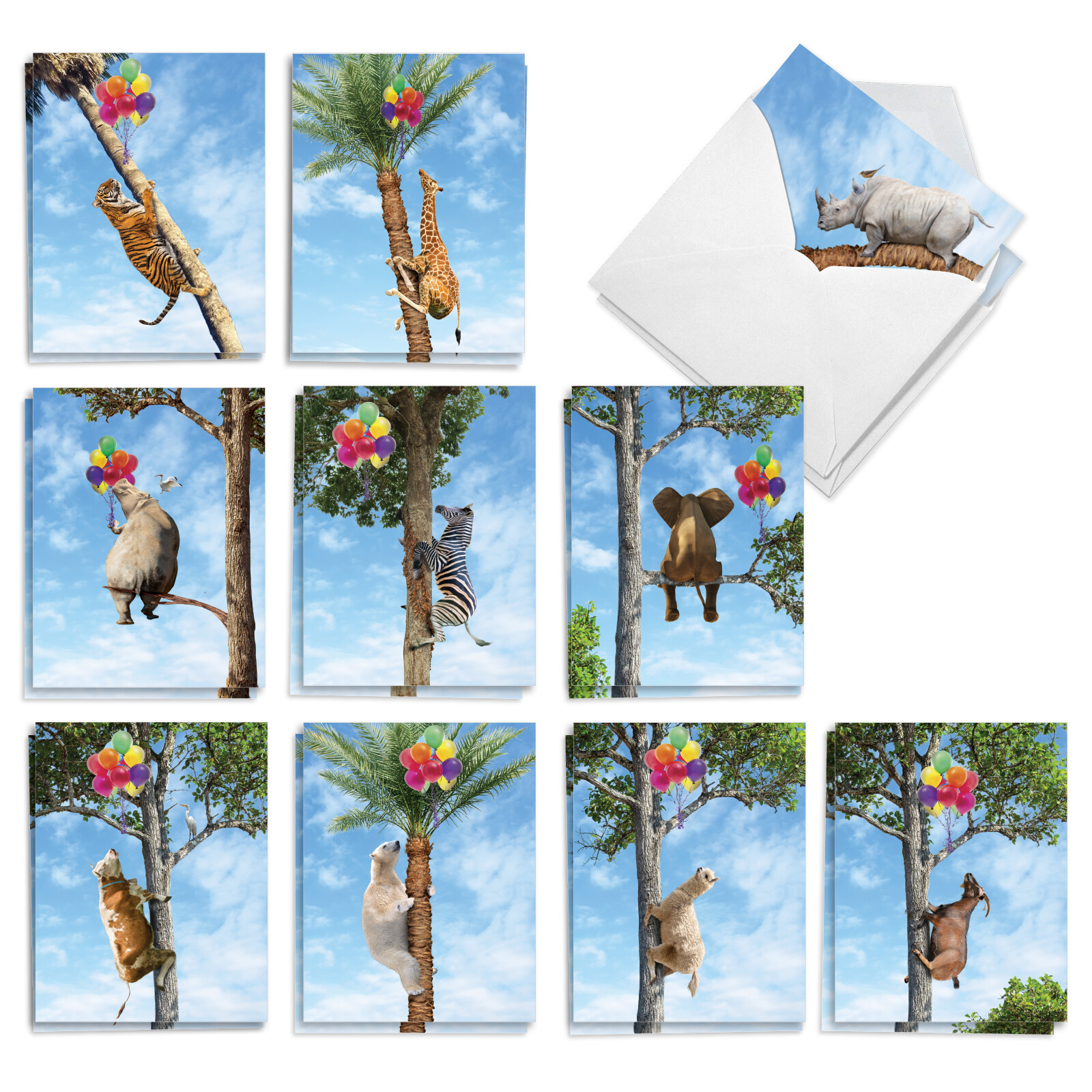 20 Asst’d Congratulations Cards Set 4×5.12″ w/Envelope(10 Designs) Tree Animals