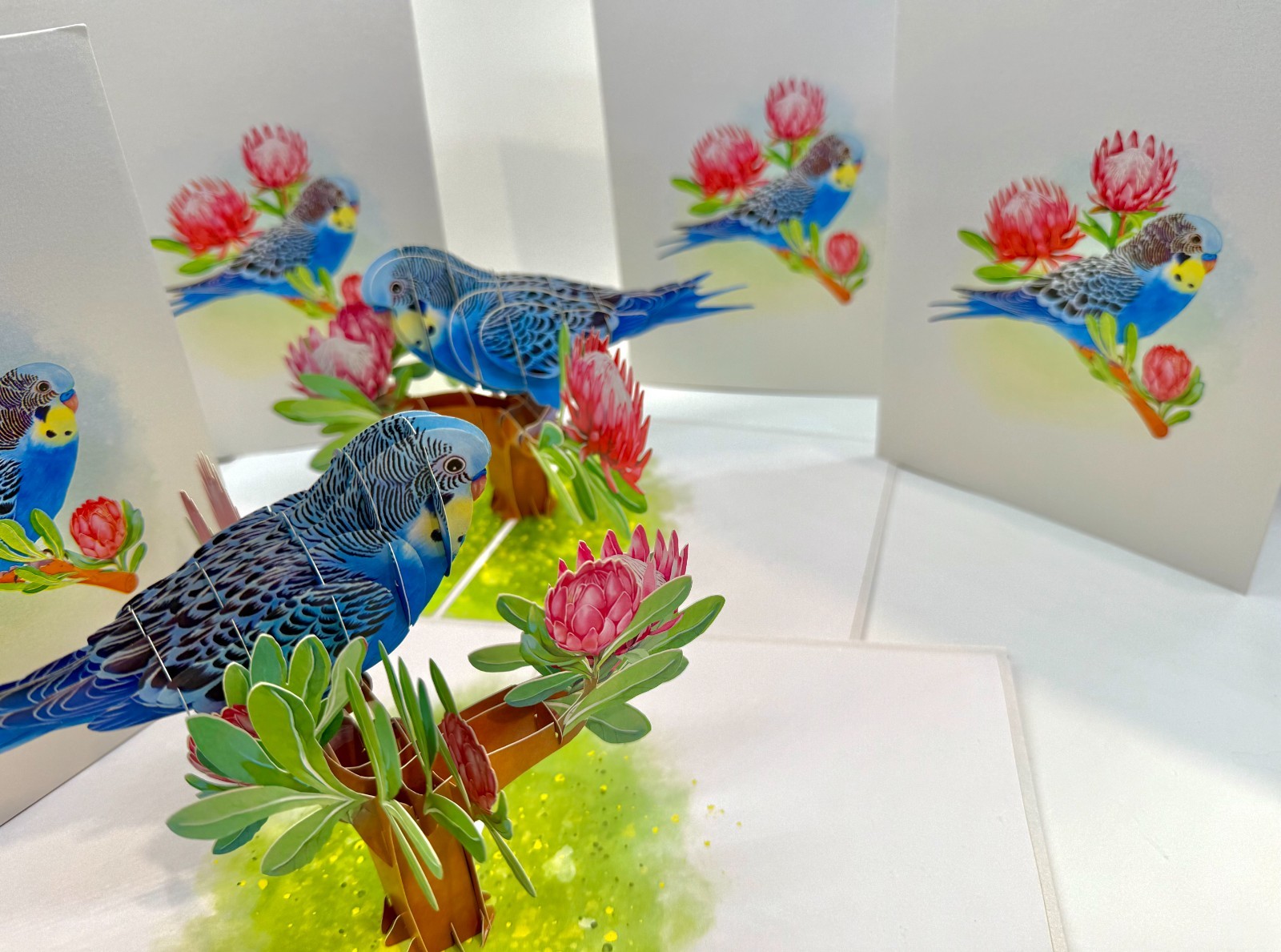 Origami Pop Cards Blue & Yellow Budgie with Pink Protea Flowers 3D Pop Up Card
