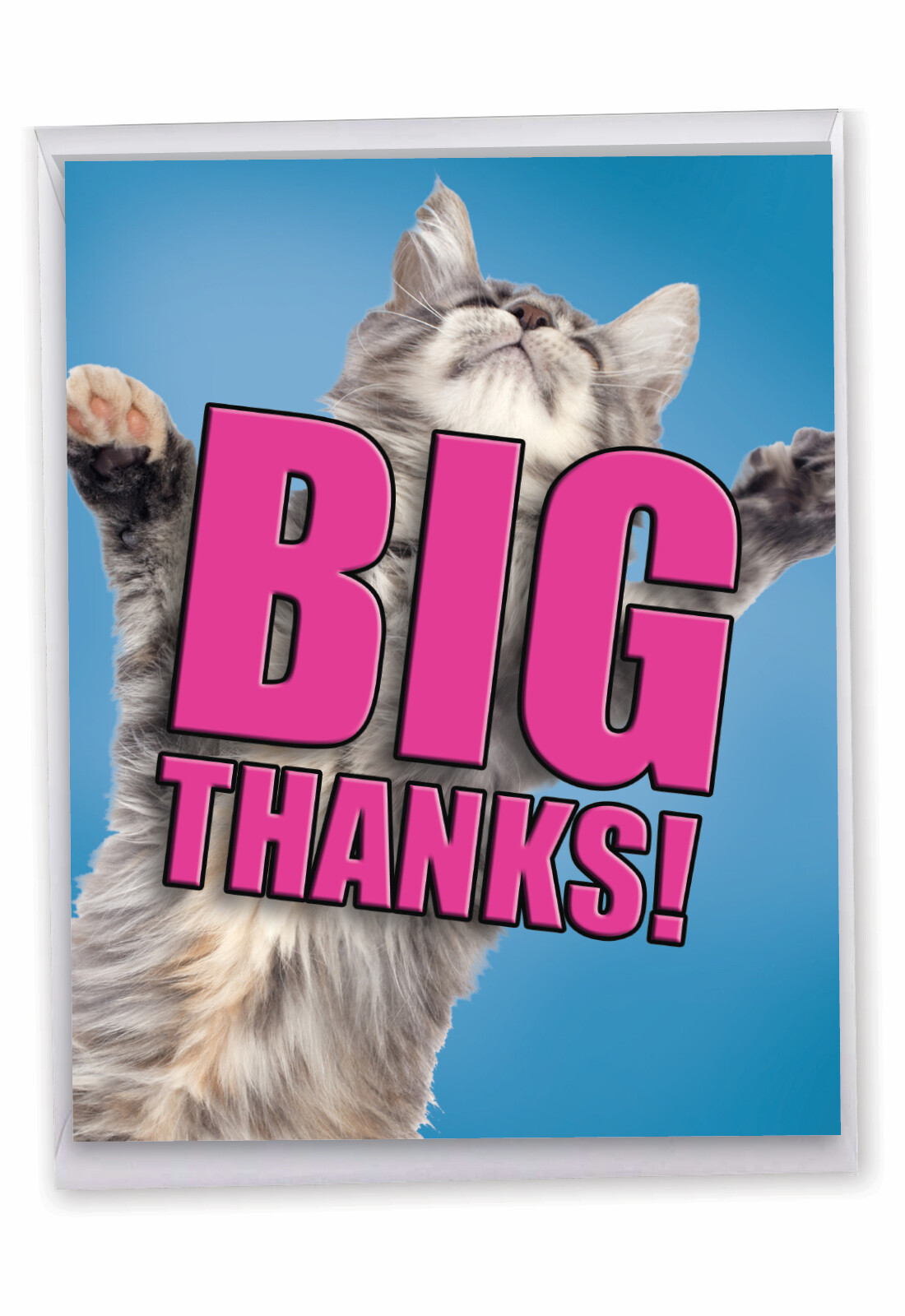 1 Jumbo Thank You Greeting Card – CAT BIG THANKS J2368DTYG