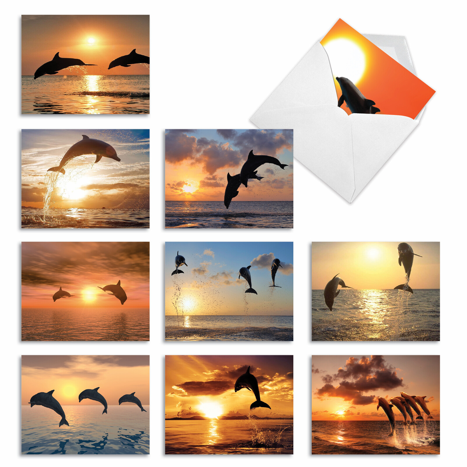 10 All Occasion Blank Cards Assortment – SUNSET DOLPHINS M6460OCB