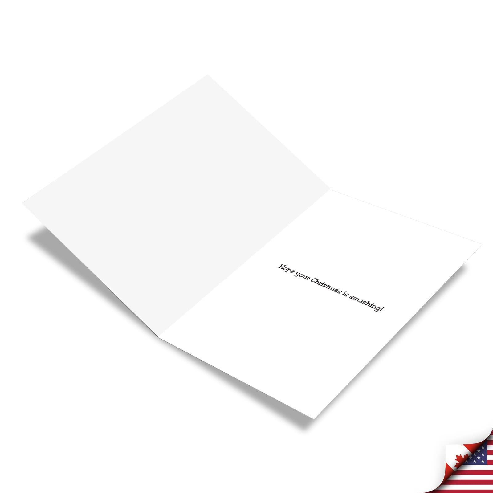 Pack of 12 Funny Christmas Greeting Cards with Envelopes, Humor Holiday for M…