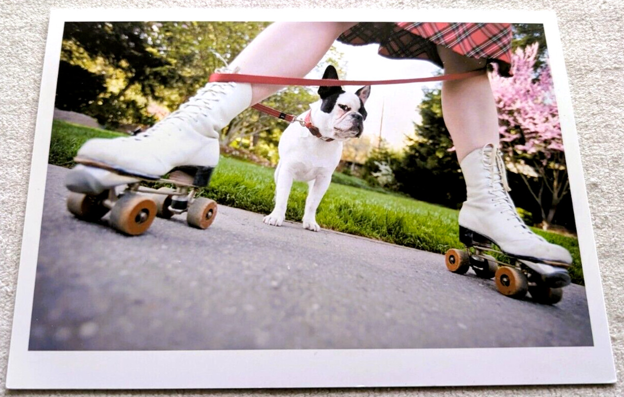 Unused Blank ROLLER SKATES French BULLDOG Greeting Card Dog Photo 2010
