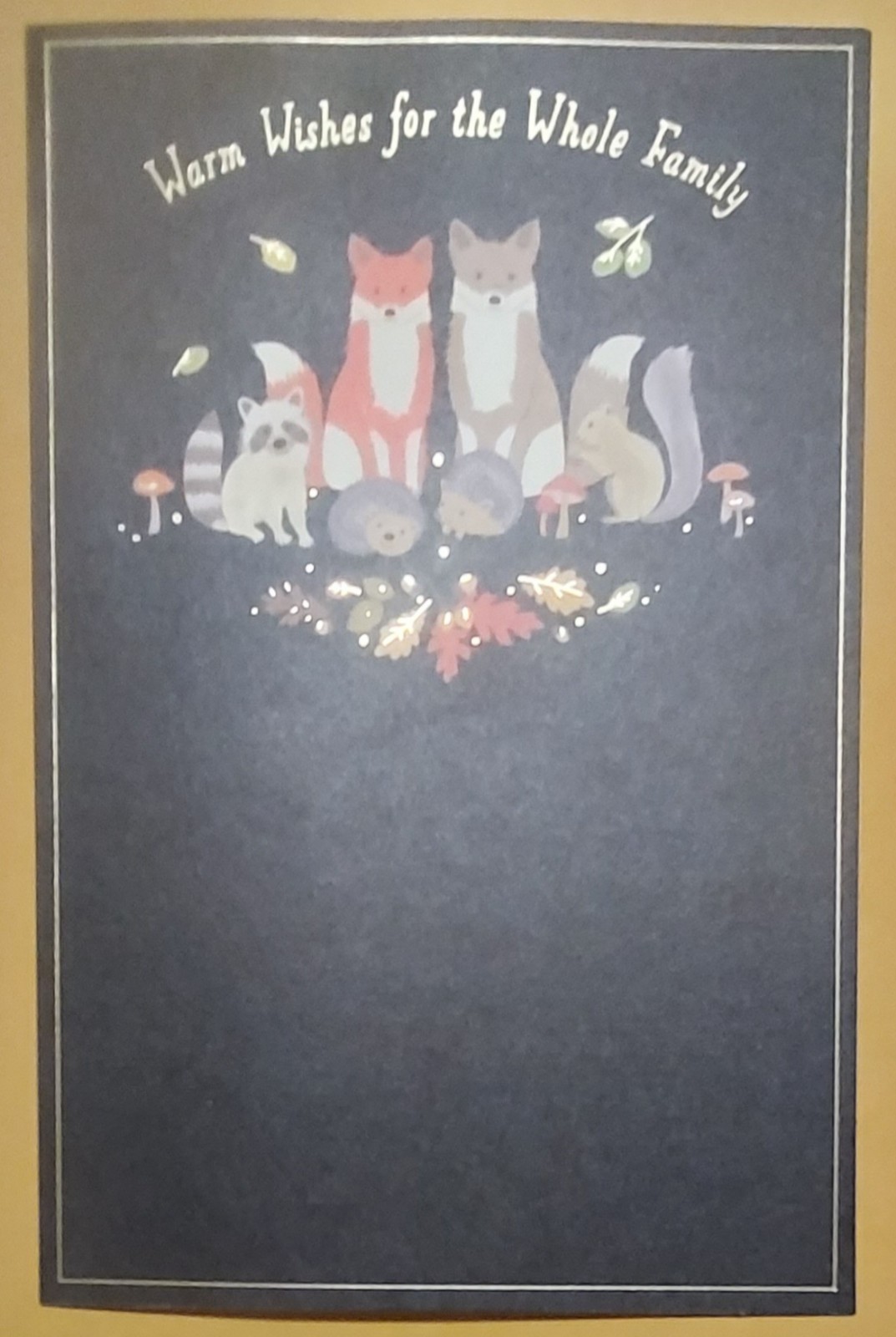 6 Count Thanksgiving Cards – Warm Wishes – To A Family – 6 Envelopes Included!