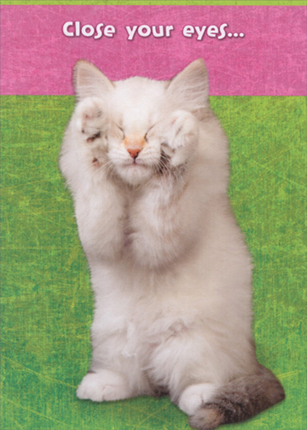 Designer Greetings White Cat Covering Eyes with Paws Cute Birthday Card
