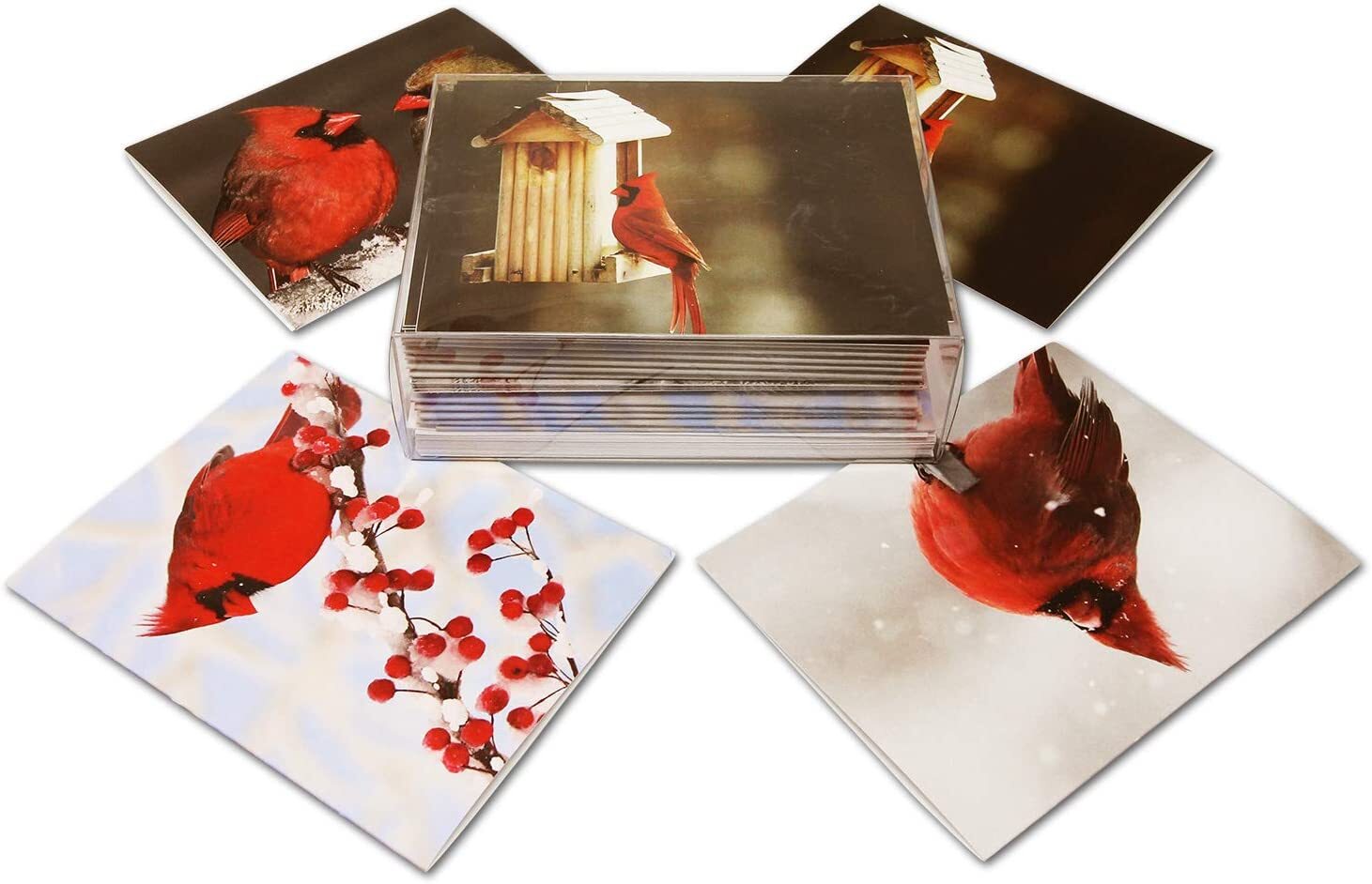 Cardinal Greeting Cards-Blank Inside-Available in 12 and 24 Packs-5.5″x4.25″