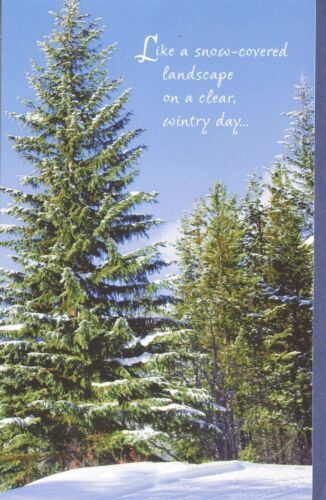 American Greetings Christmas Card: Snowy Scene–Hope Your Holidays Are Beautiful