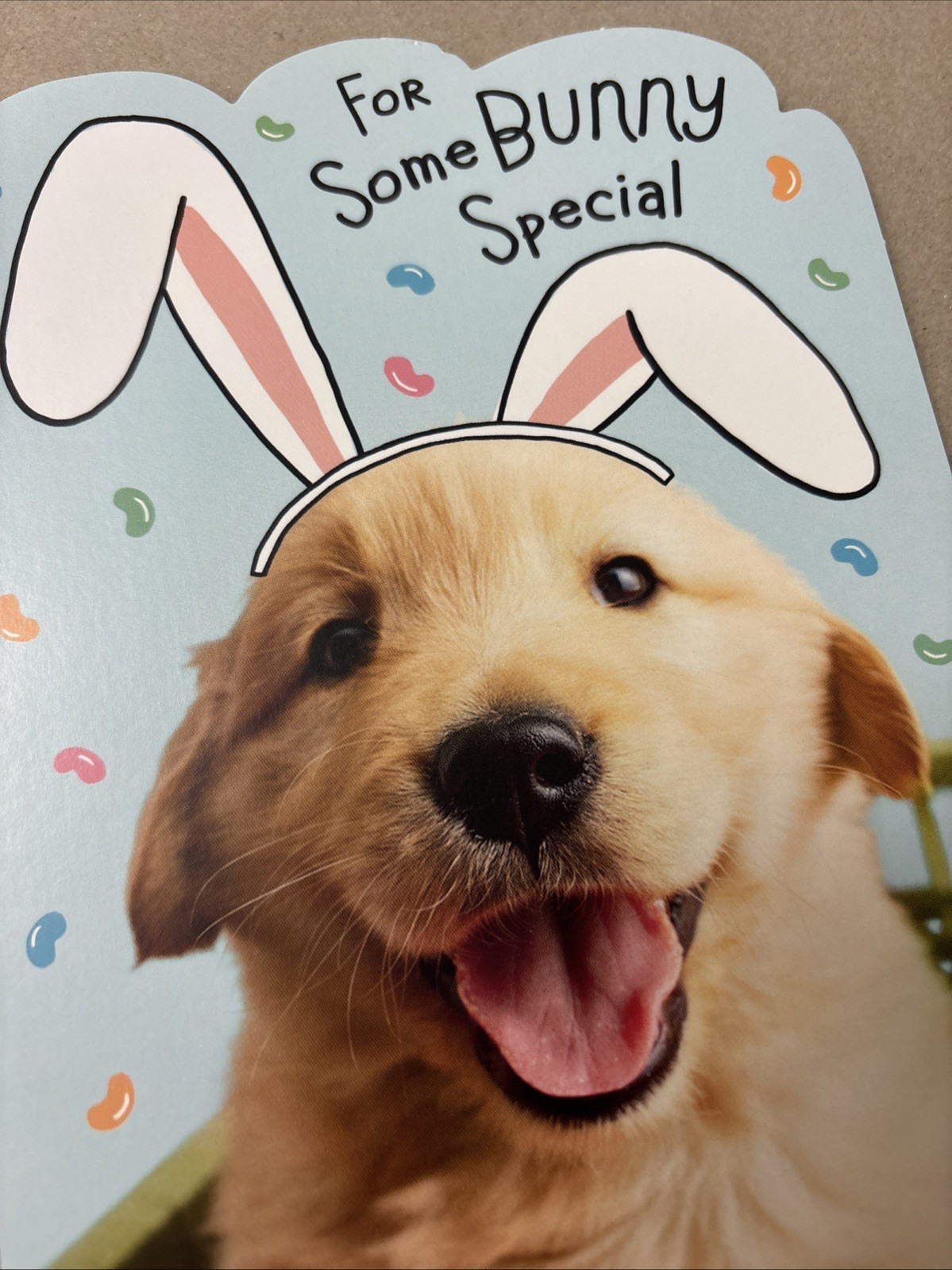 Easter Funny Cute Dog Some Bunny Special 5”x7” Hallmark Greeting Card