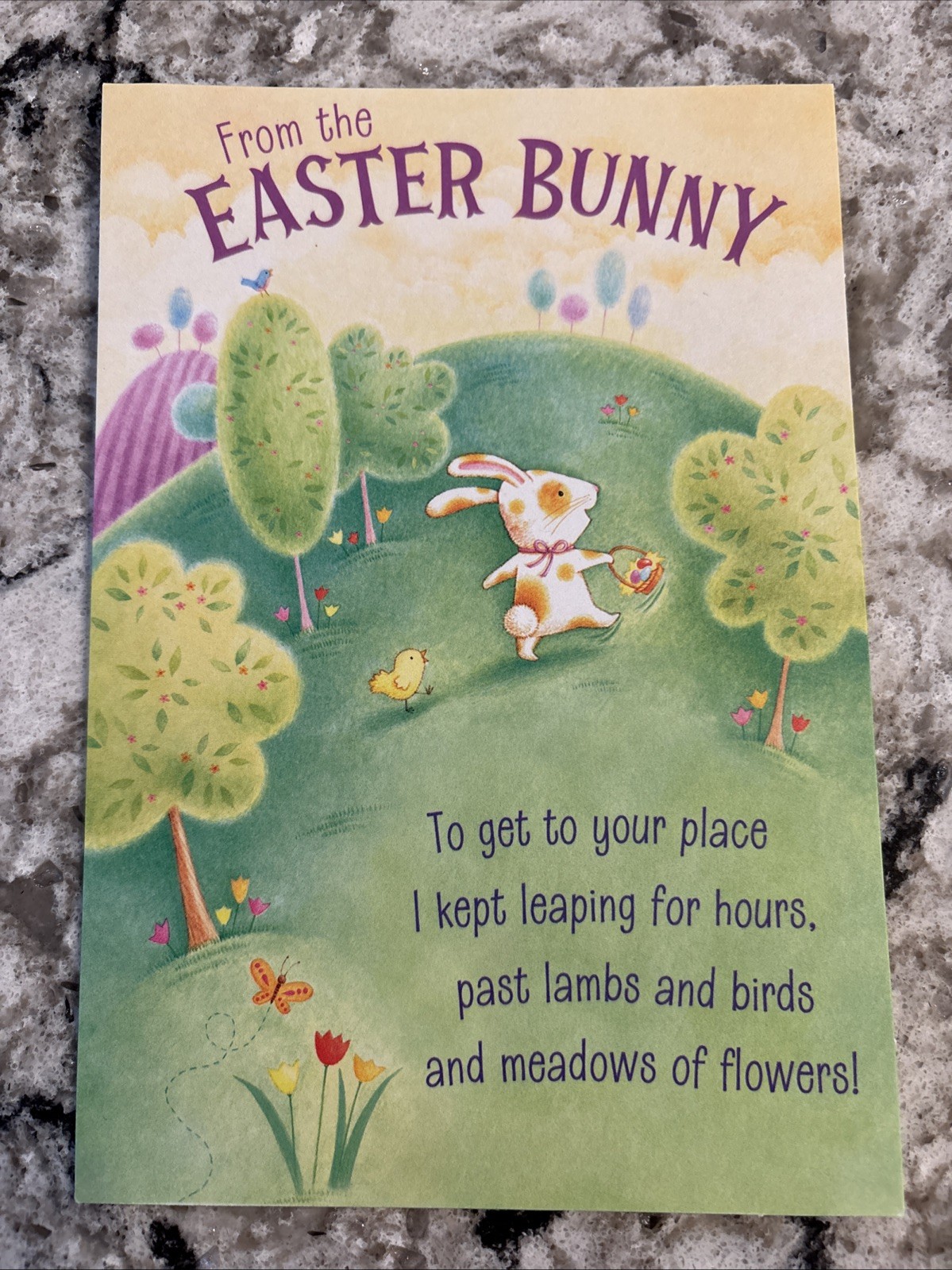 From The Easter Bunny 🐣 5”x7” Hallmark Greeting Card