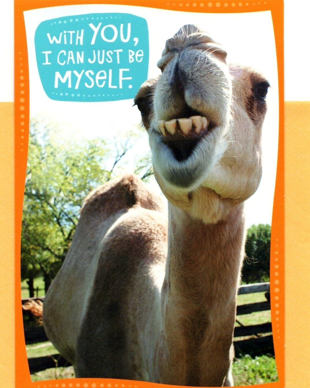 Funny Camel Friendship Good Friend Be Being Myself Hallmark Greeting Card