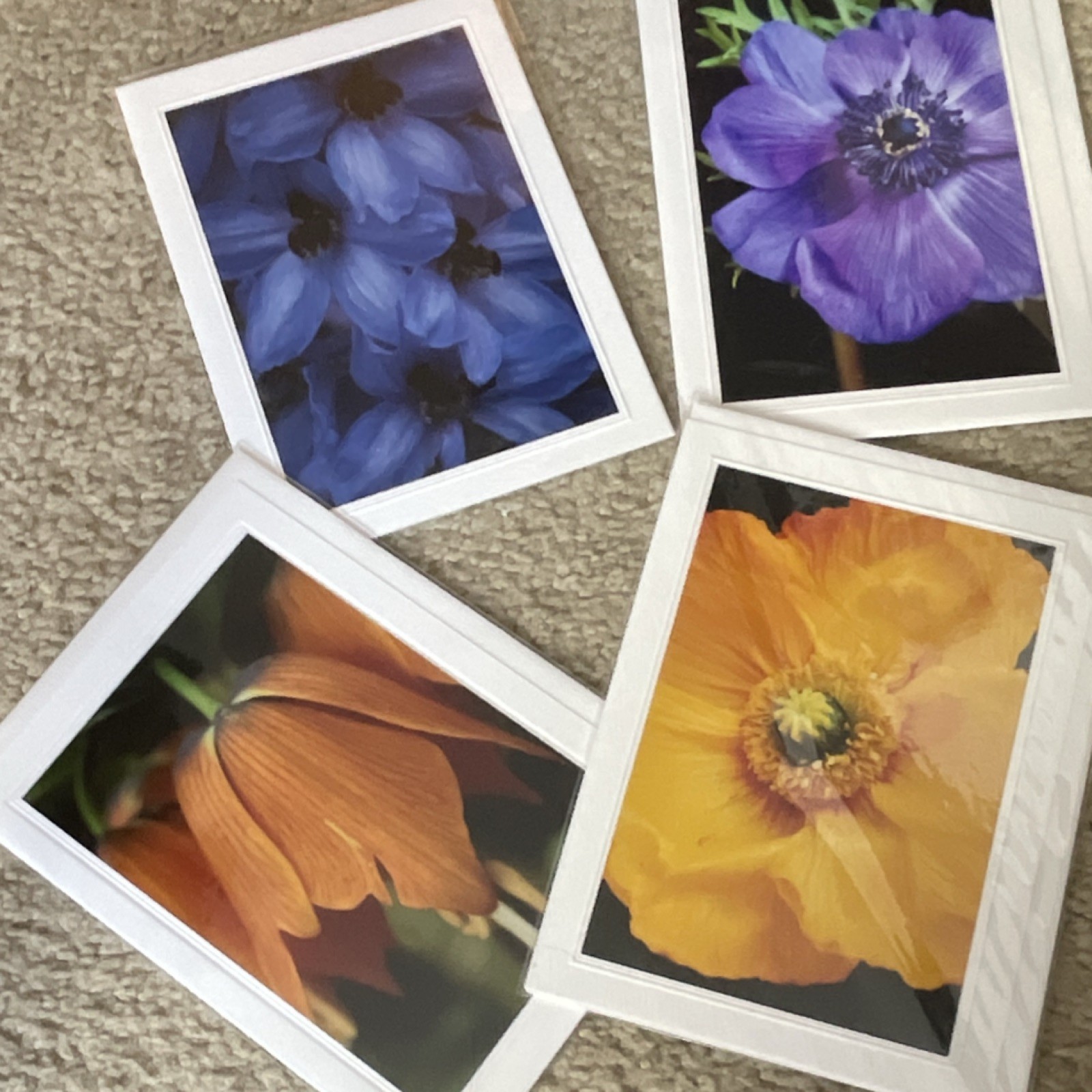 Floral Multicolor Folded Greeting Cards Set of 4 Flowers Theme Multipurpose