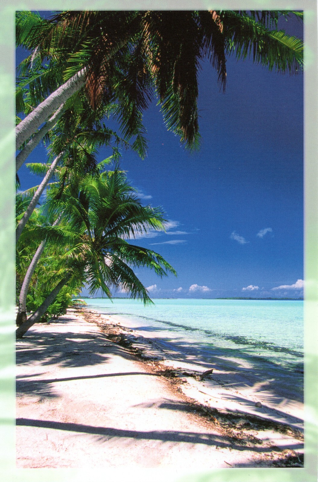 Tropical ANYTIME BLANK INSIDE Card, Beach Sun by American Greetings +Envelope✉