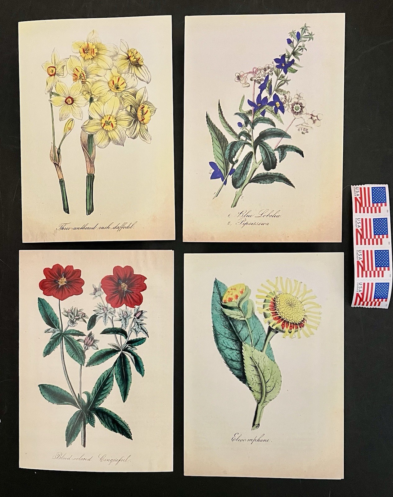 Set of 4 Vintage Style Botanical Notecards Env/Stamps BN blank inside Floral