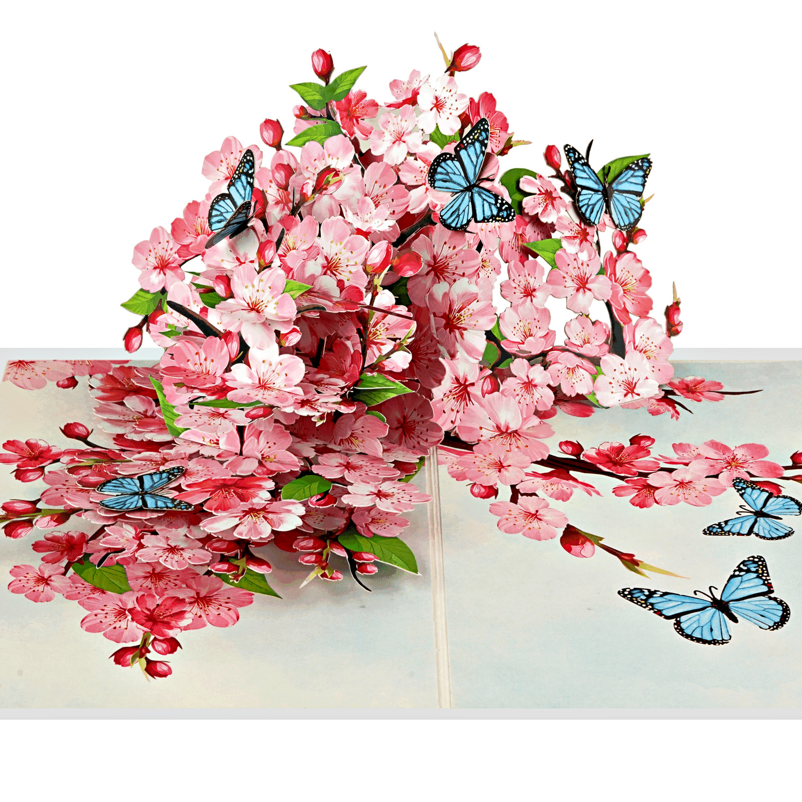 Cherry Blossom Pop Up Card with Butterflies 3D Spring Greeting Card all occasion