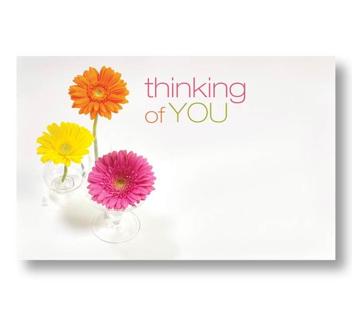 Elegant Design Enclosure Card Collection Toy Daisie Thinking Of You – Multicolor