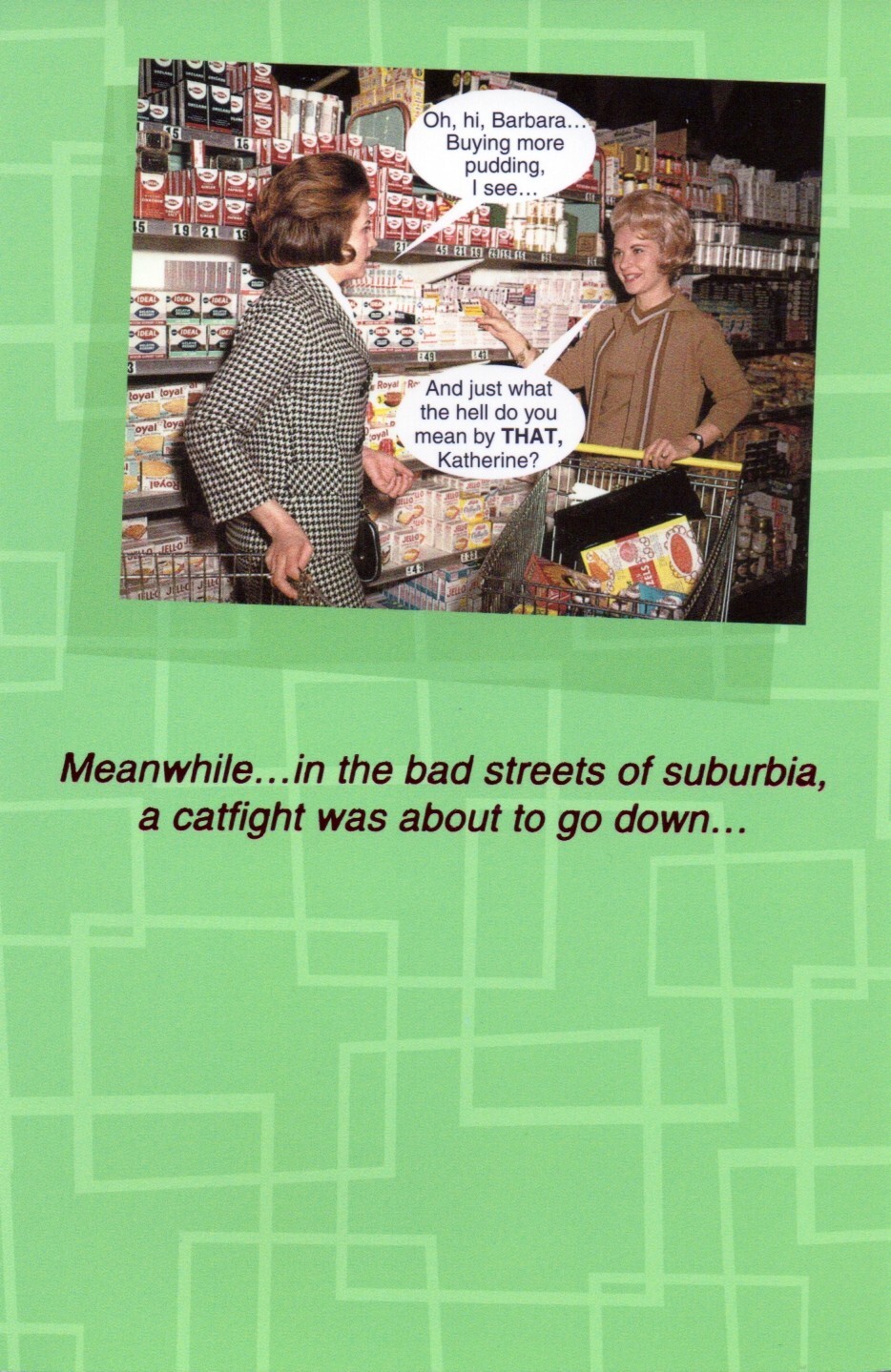 Funny BIRTHDAY or FRIENDSHIP Blank Card, “Suburbia” by American Greetings + ✉