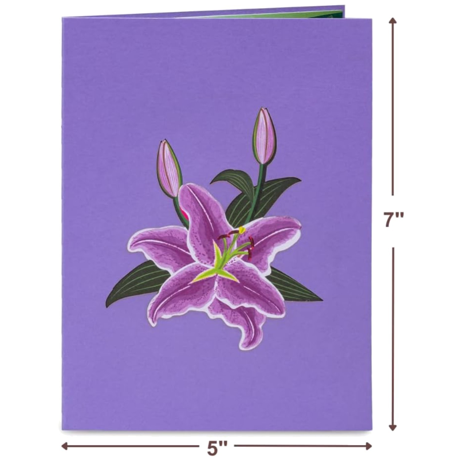 Thoughtful Pop Up Card – Purple Lilies, Includes Envelope