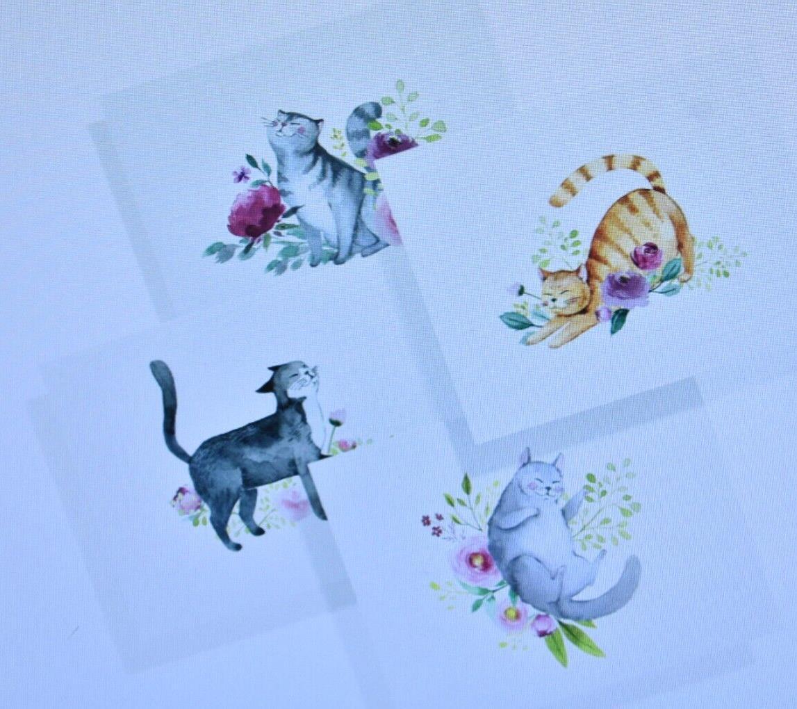 Twigs Paper Cat Stationary Note Card Set 24 Blank Cards/Envelopes 5.5″ x 4.25″