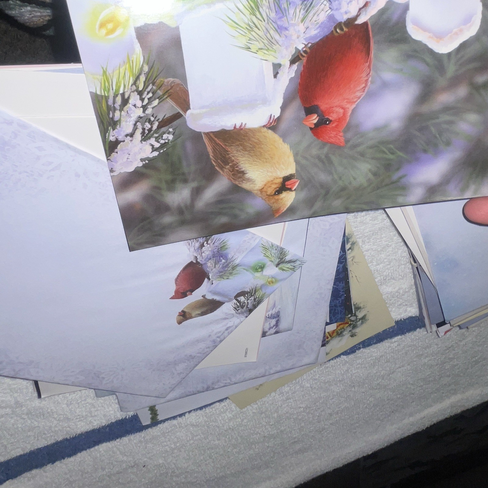 Bird Themed Greeting Card Lot, Cardinal Design, Multicolor, All Occasions