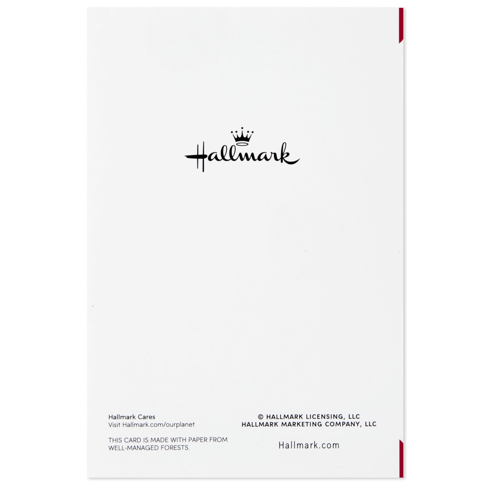 Hallmark 4.4 inches x 6.4 inches, Special Time Heart, 6 Card with Envelopes