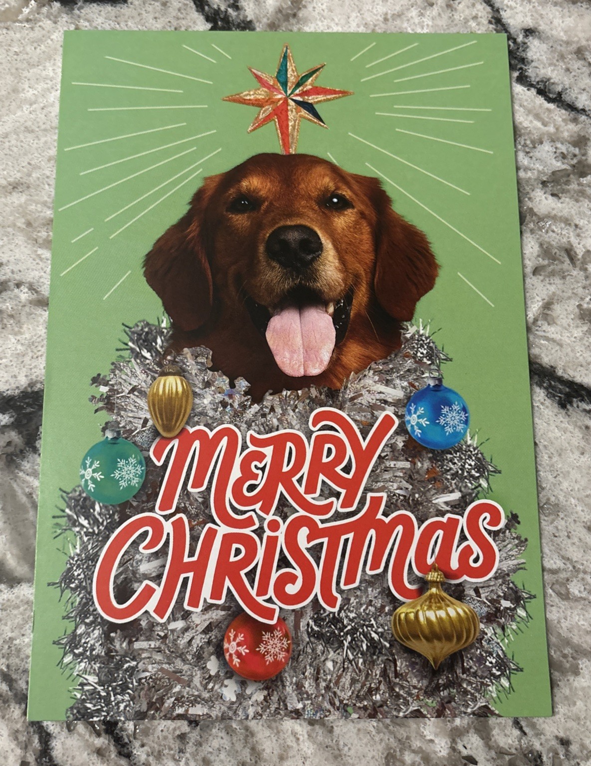 Merry Christmas Funny Dog Unleash The Season Of Fun 5″x7″ Hallmark Greeting Card