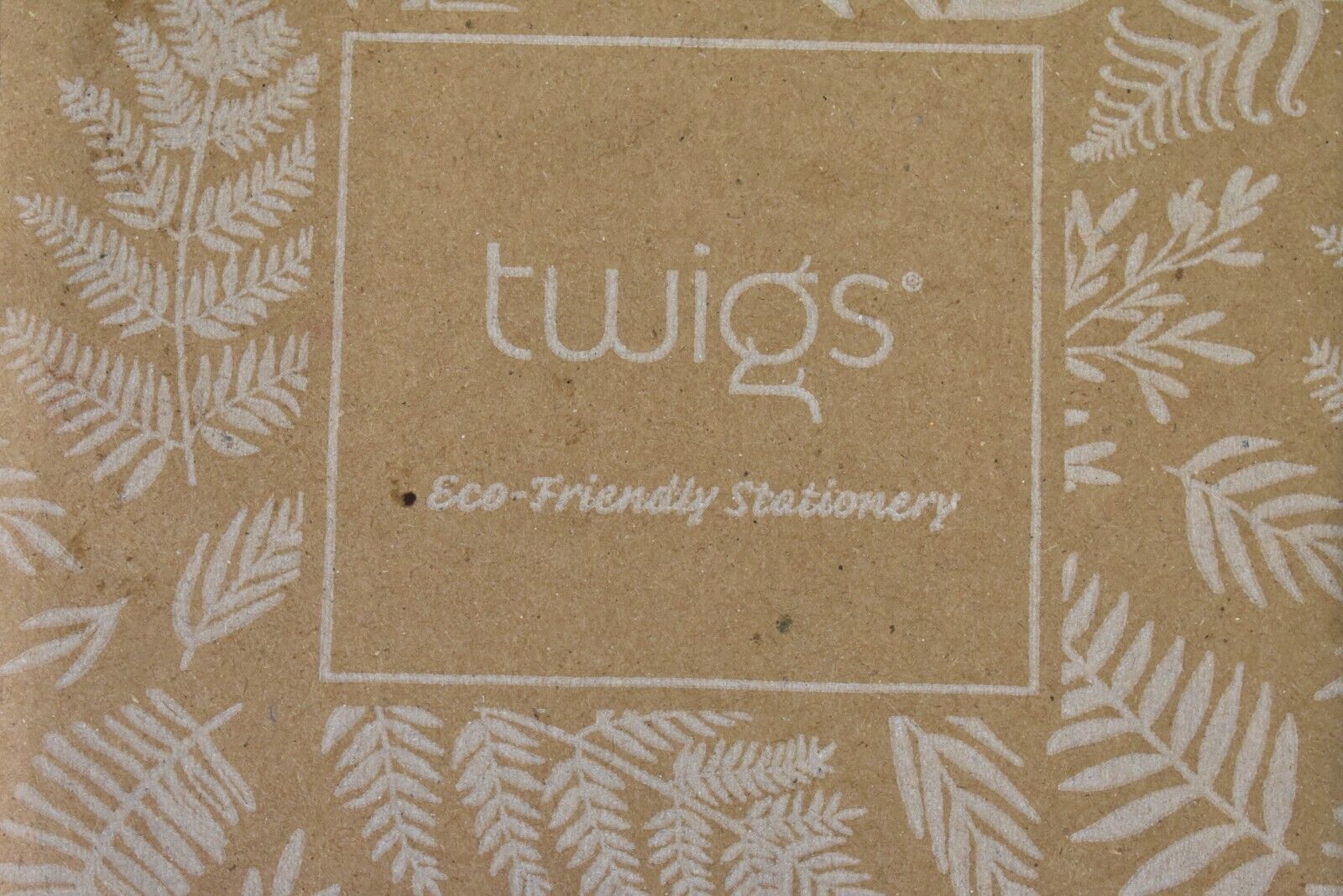 Twigs Paper Cat Stationary Note Card Set 24 Blank Cards/Envelopes 5.5″ x 4.25″
