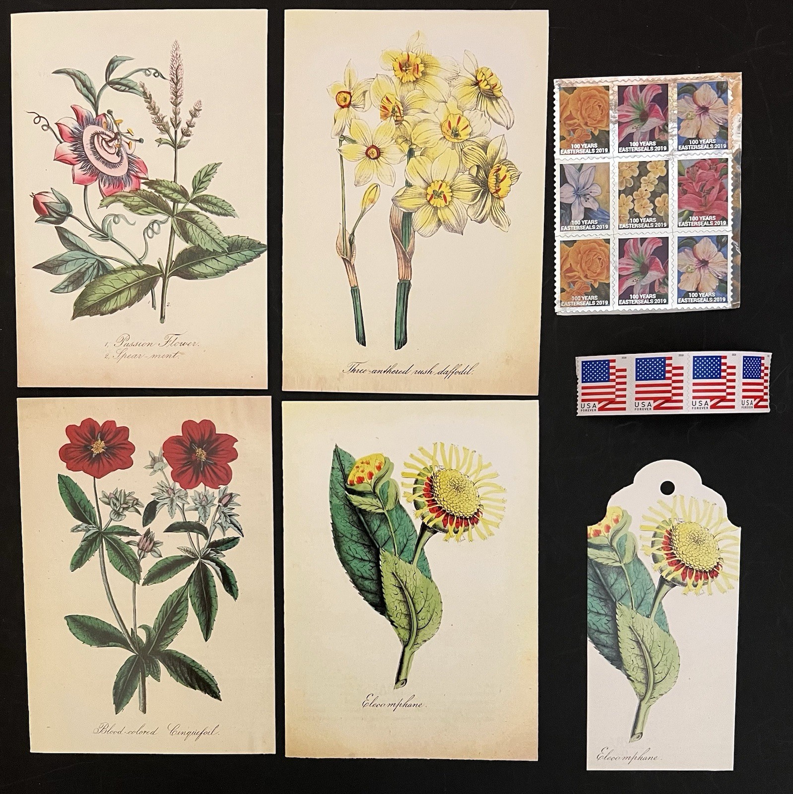 Set of 4 Botanical Notecards Embossed Floral Env/Gift Tag/Stickers/Stamps BN
