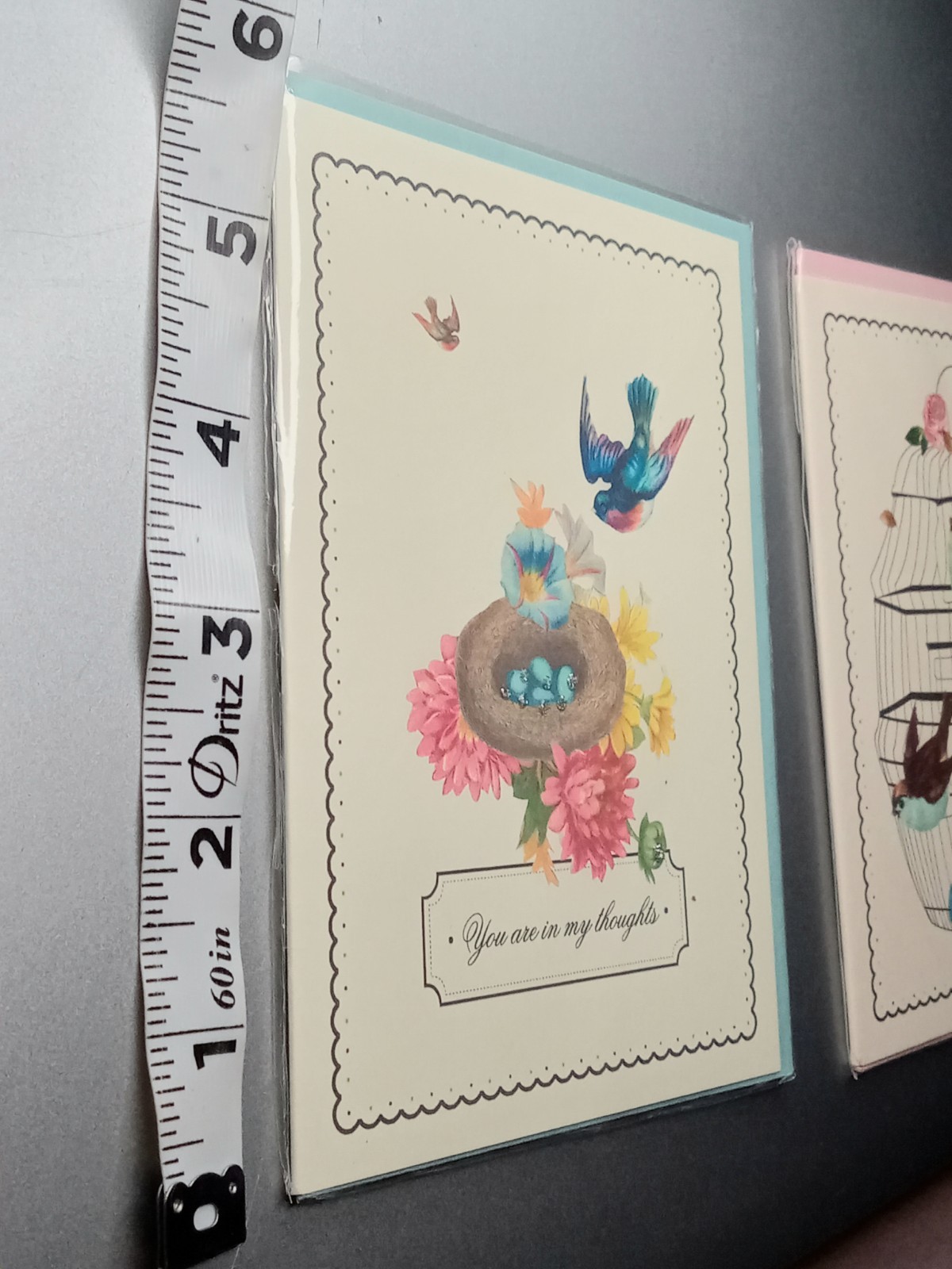 2 Unique Spring Bird Cage Greeting Cards Limited Hand Painted Driscoll Designs