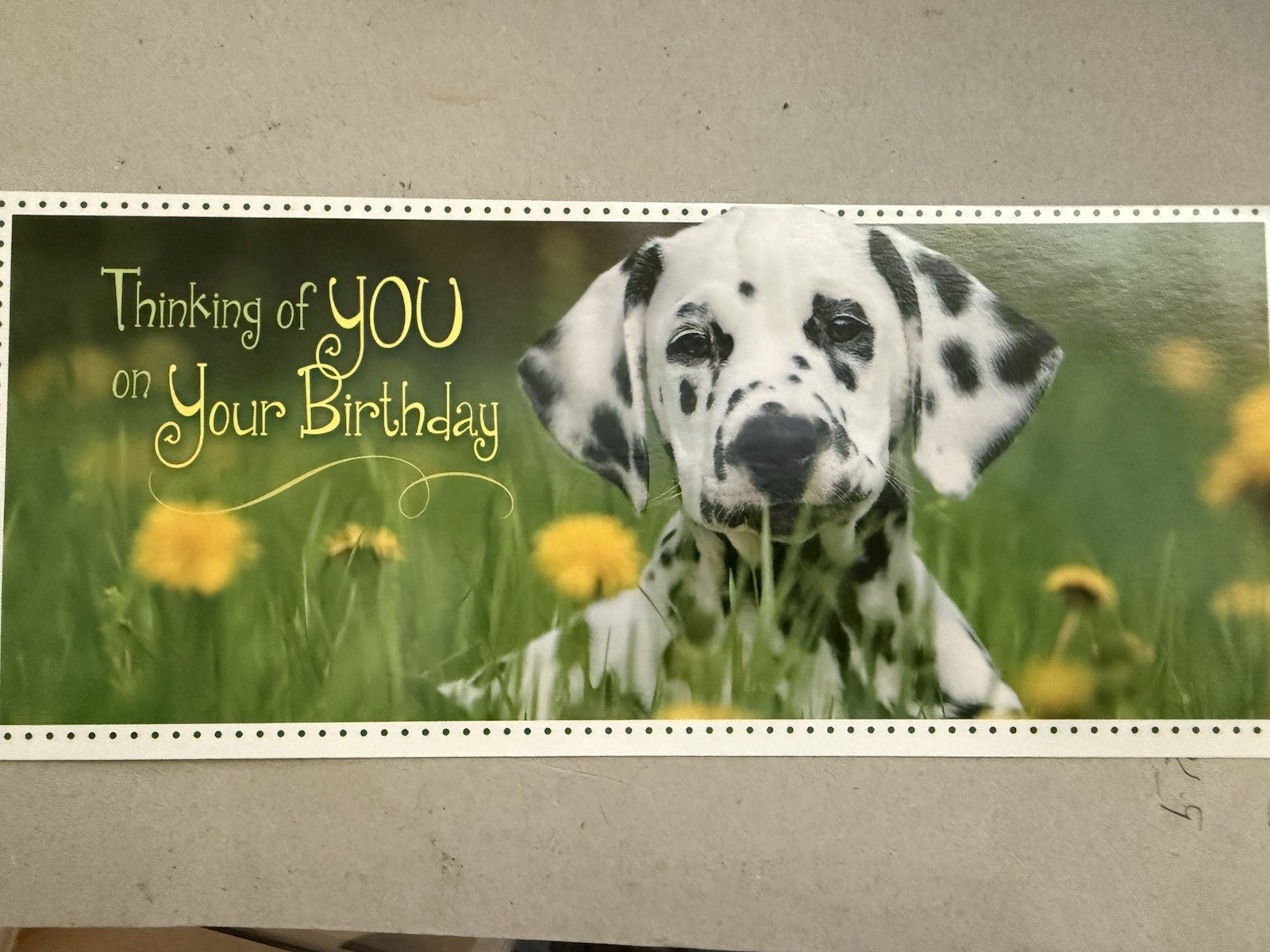 “Thinking of You on Your Birthday ” – Dalmatian in grass – approx 3.5″ X 8.25″