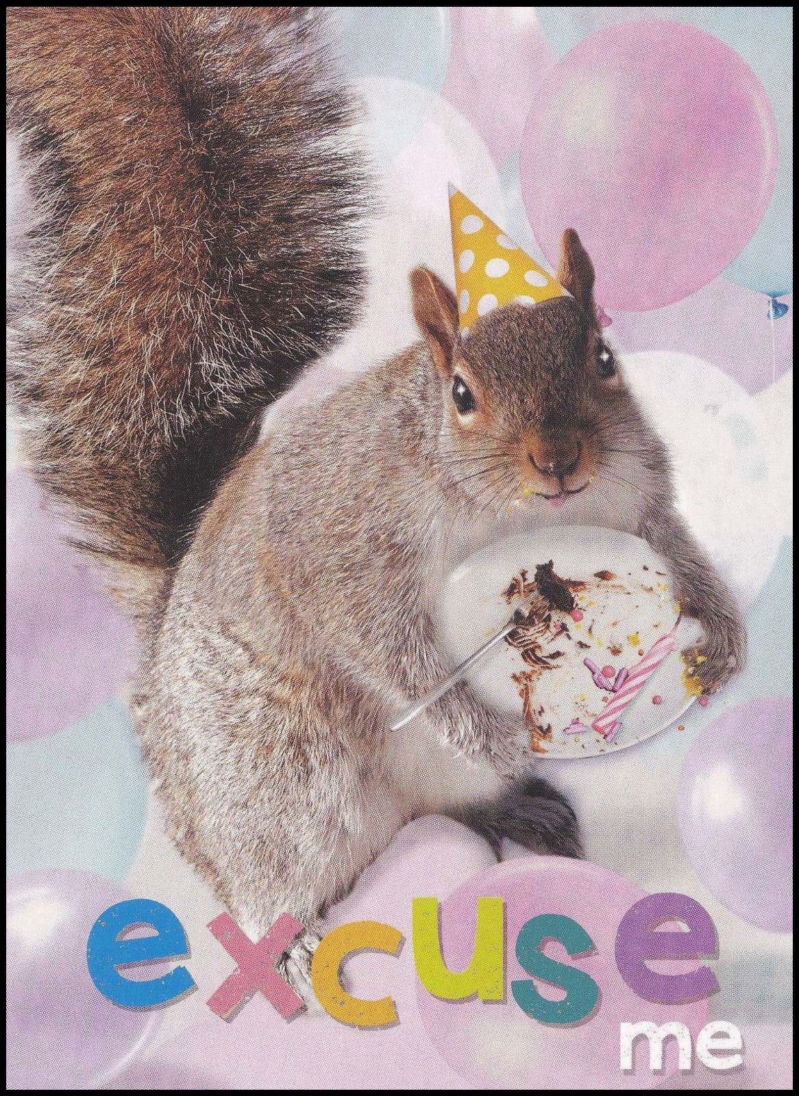 Birthday Greeting Card – Squirrel – CR0031
