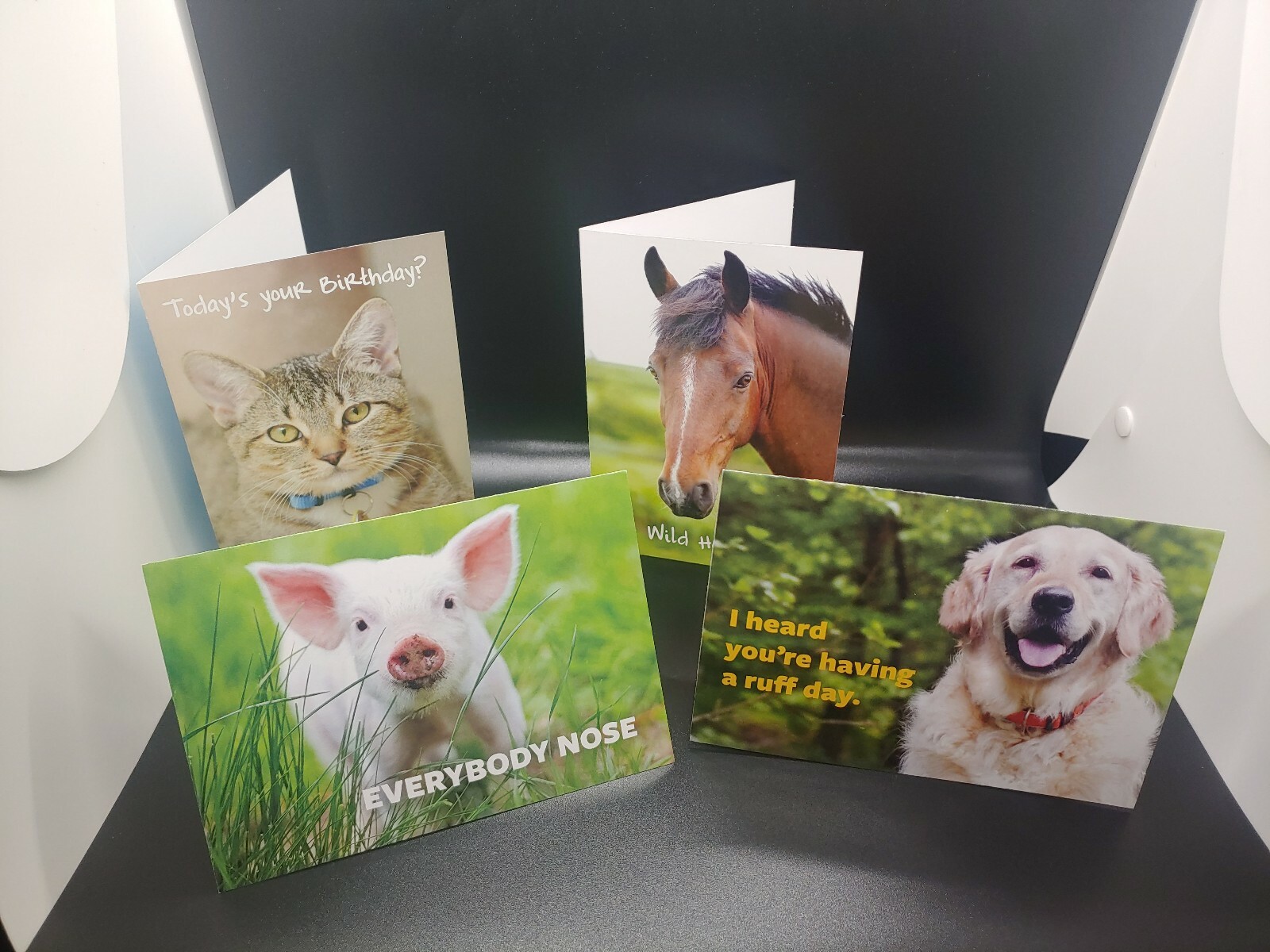The humane society of the United States greeting Cards