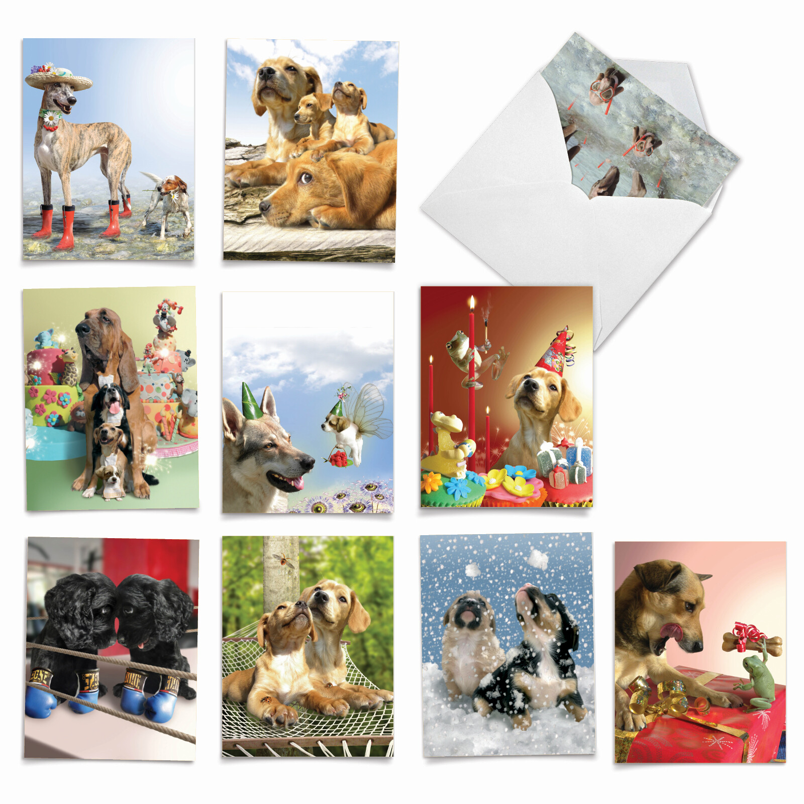 10 All Occasion Blank Cards Assortment – PUPPY LOVE M6546OCB