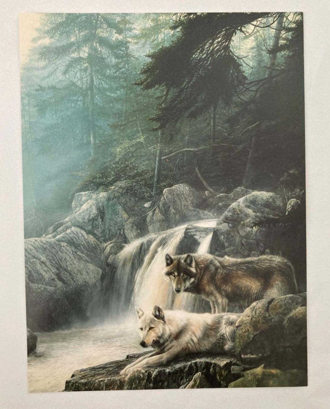Leanin Tree Majestic Wolf Greeting Cards YOU CHOOSE 5 1/2” x 7 1/2″ w Envelope