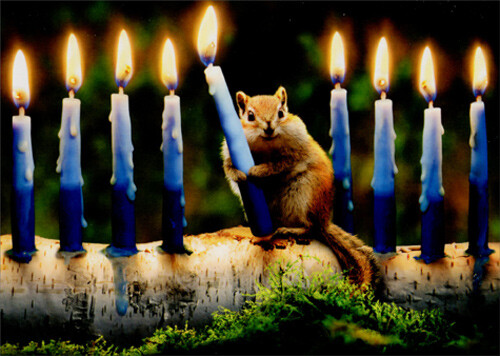 Chipmunk Menorah Hanukkah Card – Greeting Card by Avanti Press