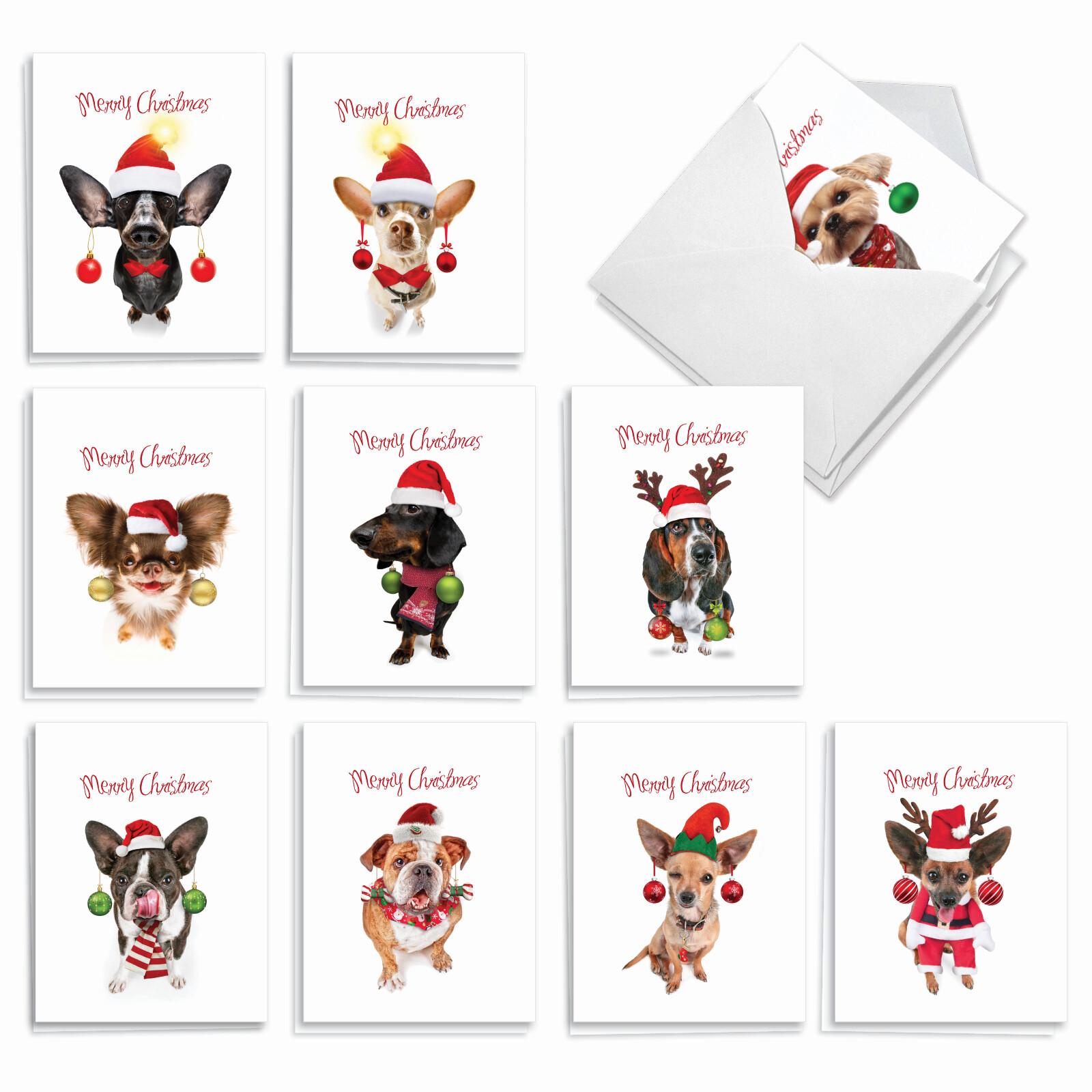 20 Mixed Occasions Cards (10 Designs, 2 Each) – Doggy New Ear AM3693XXG-B2x10