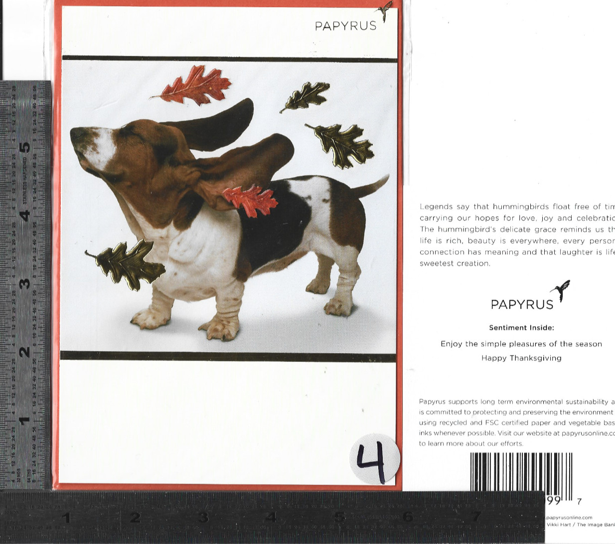 (4) 1 single PAPYRUS & Hallmark embellished FALL Card