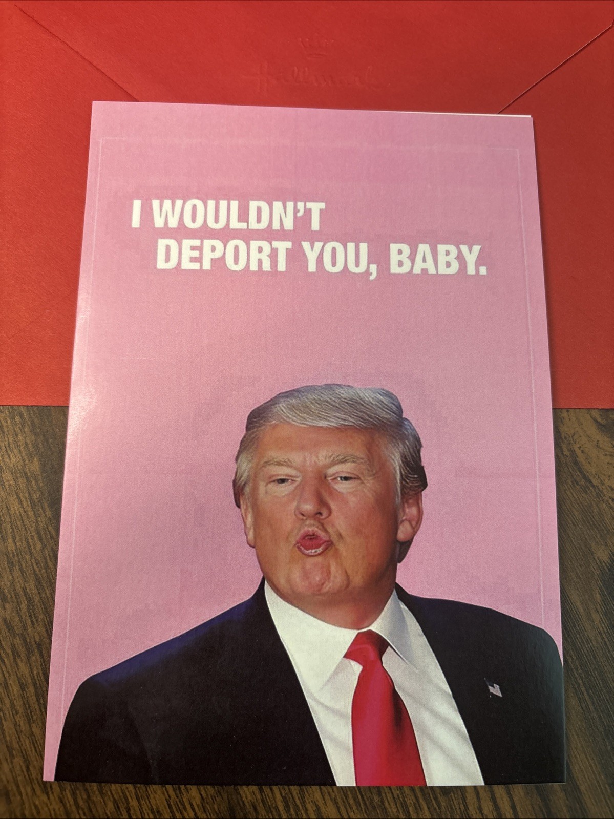 Valentine’s Day Trump Funny Deport You 4.6” x 6.6” Blank Inside Greeting Card