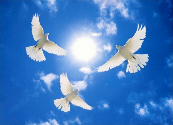 Three White Doves Circling Sympathy Card – Greeting Card by Avanti Press