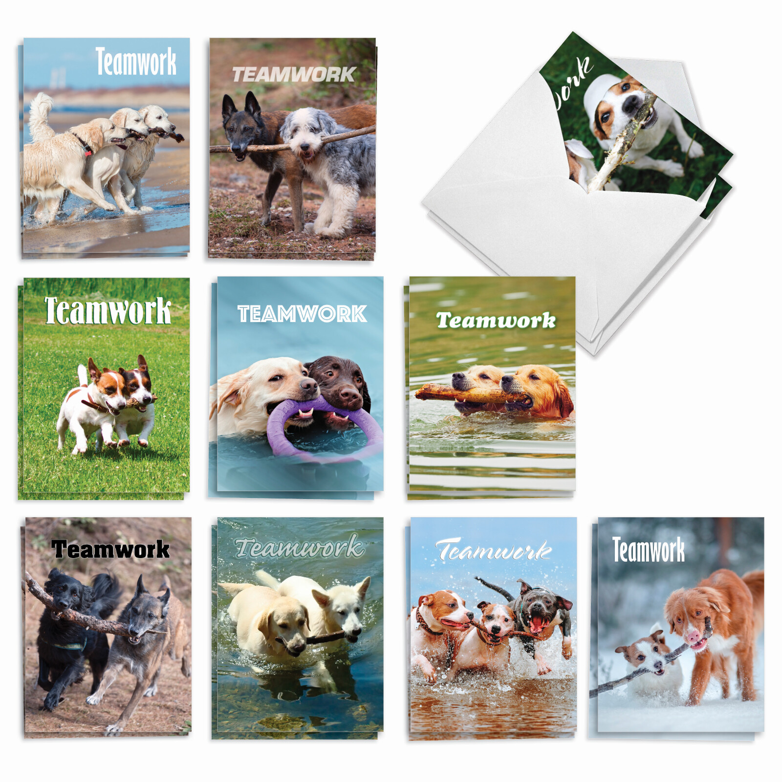 20 Blank All Occasion Cards (10 Designs, 2 Each) – Teamwork AM3189OCB-B2x10