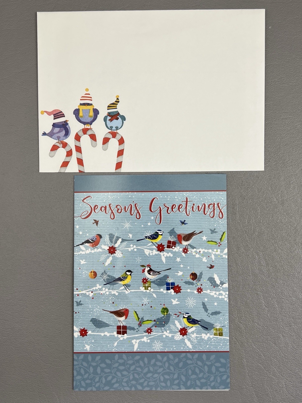 Season’s Greetings Christmas Card Birds on Snowy Branch Cathy Squire 2021