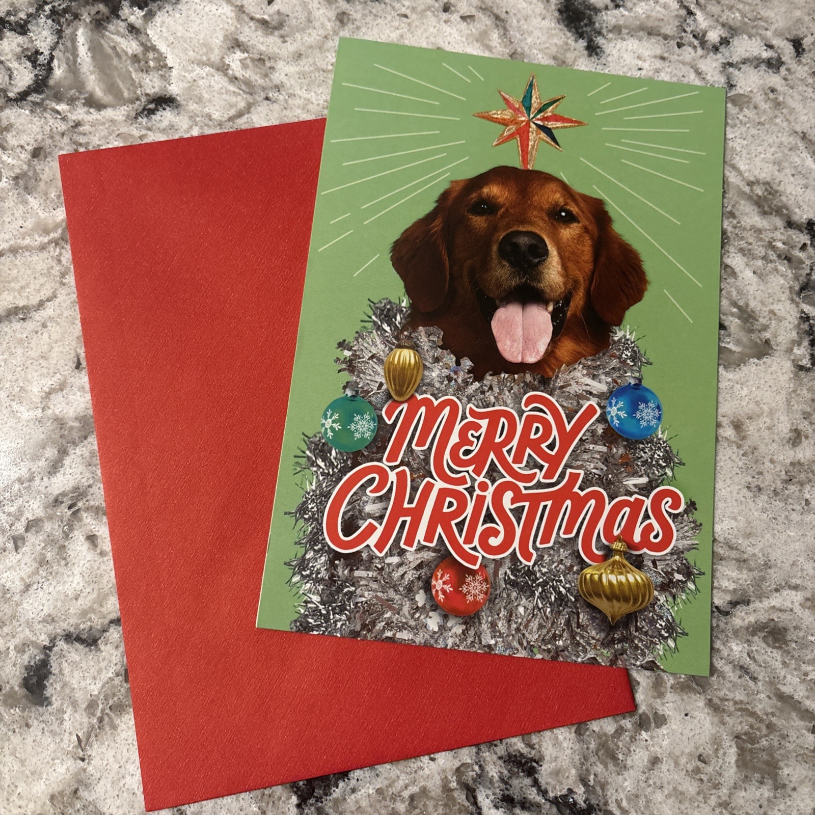 Merry Christmas Funny Dog Unleash The Season Of Fun 5″x7″ Hallmark Greeting Card