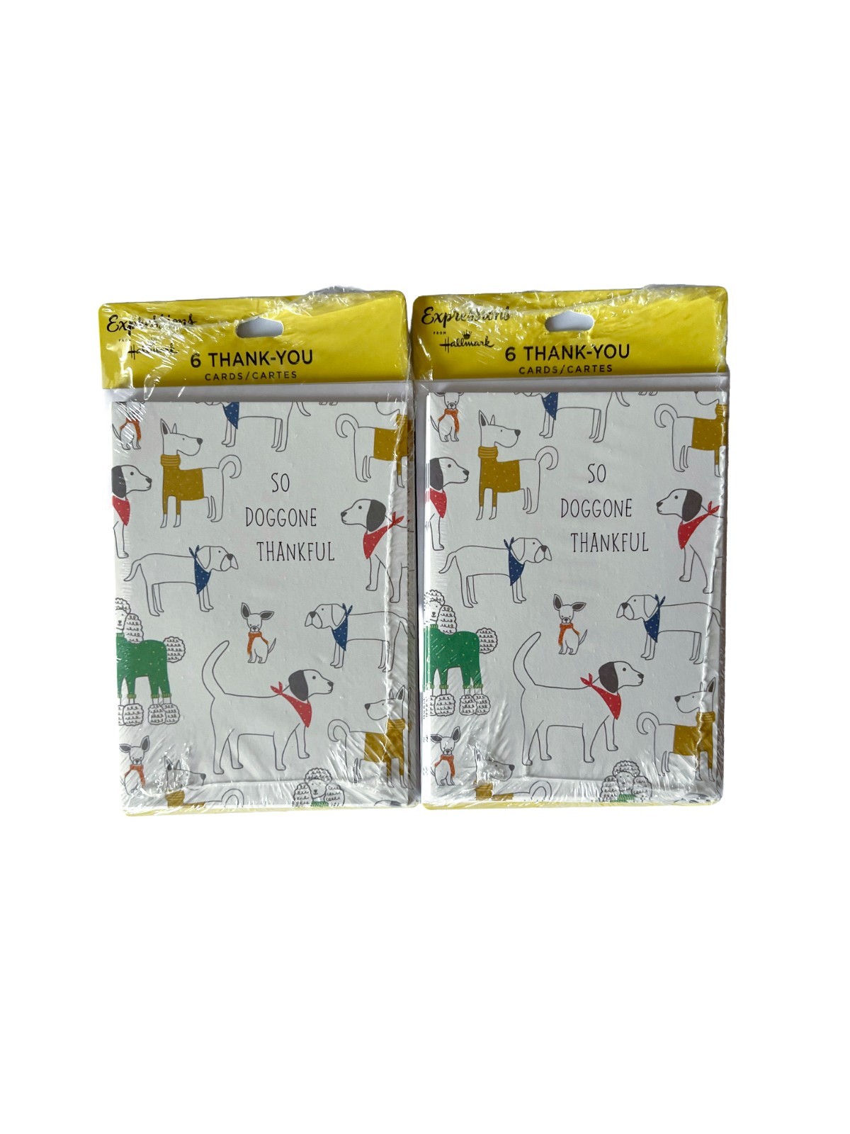 Hallmark Expressions Cute Dogs Doggone Thankful 12 Thank You Cards & Envelopes