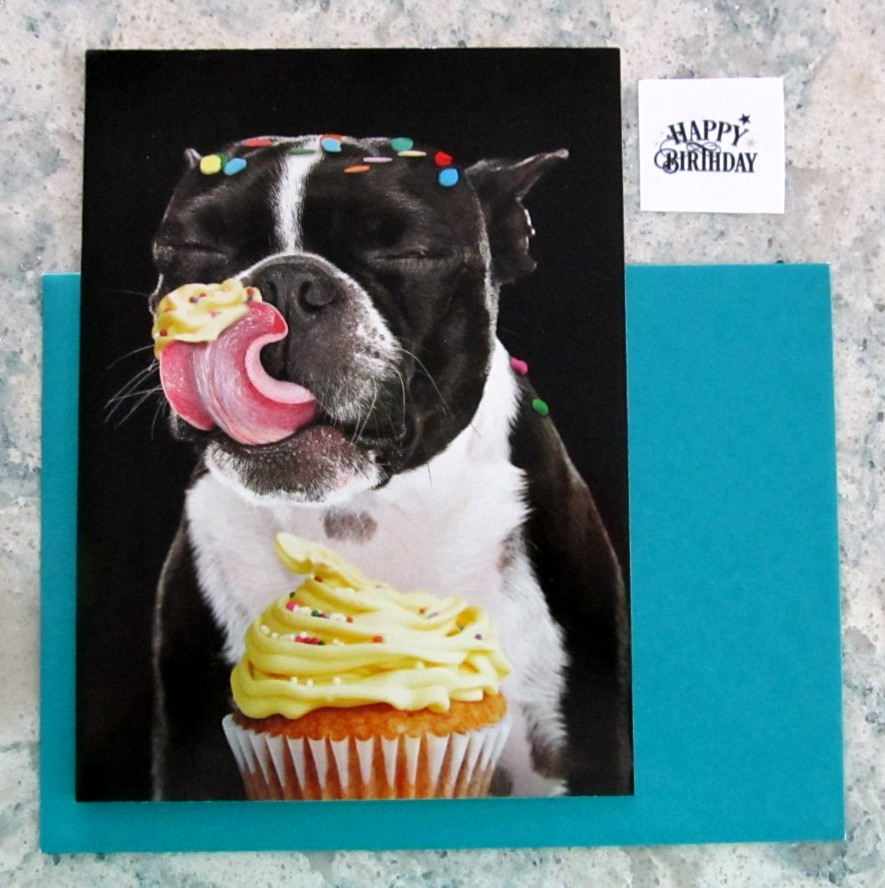 NOS Birthday Greeting Card, Env. & Seal – Dog Licking Cupcake