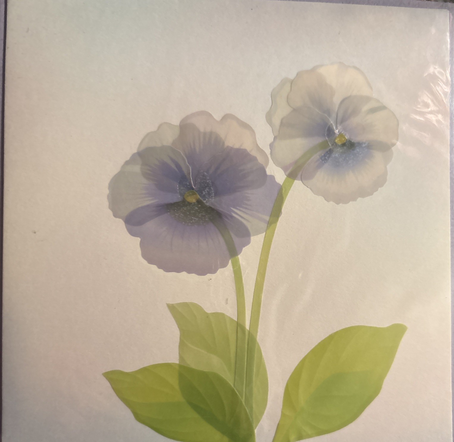 Papyrus~Happy Birthday Flowers~May Your Day Be Filled W/ Beauty Love & Kindness