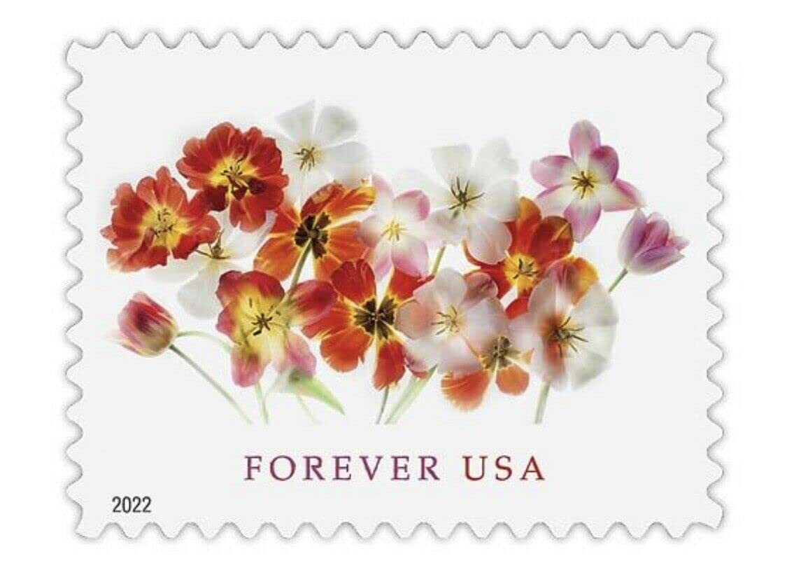 20 Multicolor Tulip Forever Stamps Floral Greeting Card Perfect for Any Occasion
