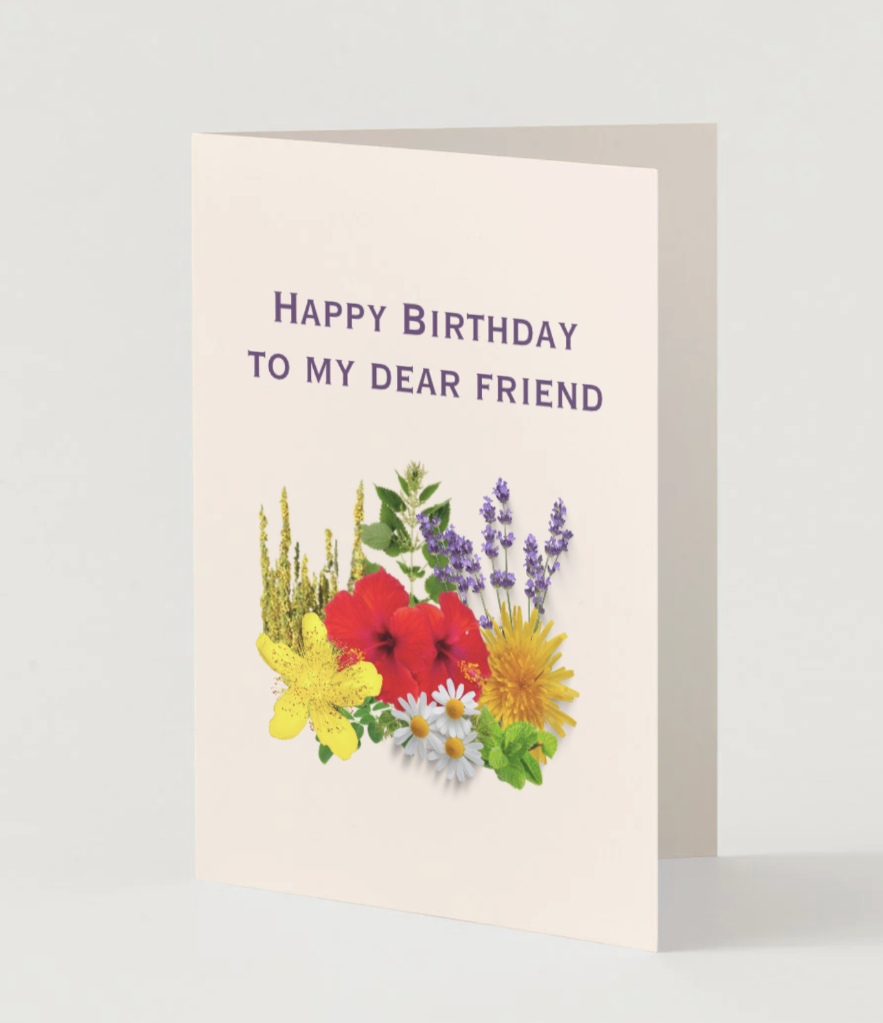 Greeting Card Happy Birthday to My Dear Friend Floral Celebration 10×7 gift pink