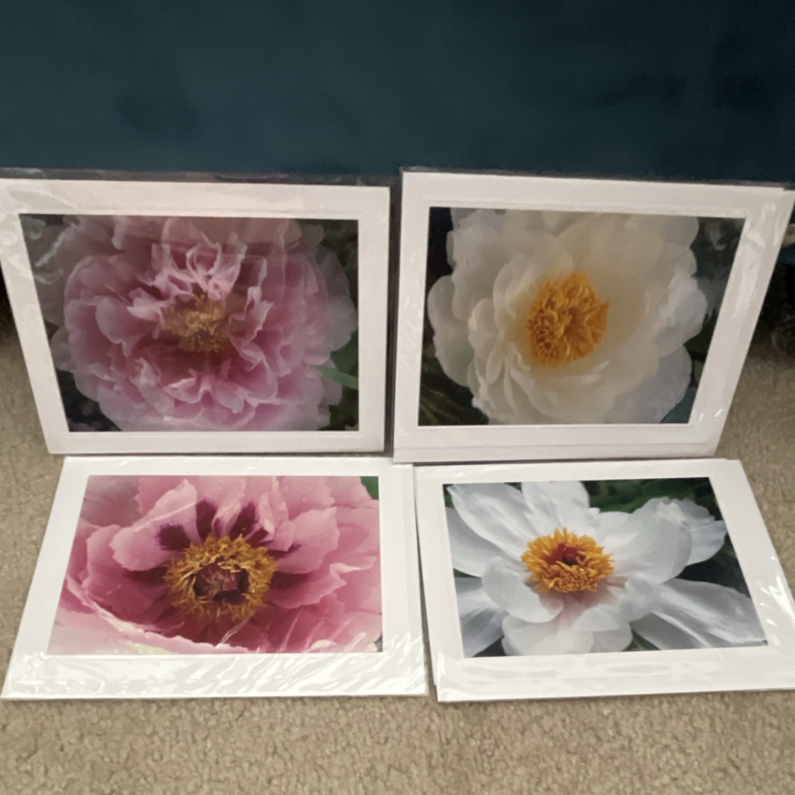 Set of 4 Floral Multicolor Blank Flat Greeting Cards Flowers Theme Multipurpose