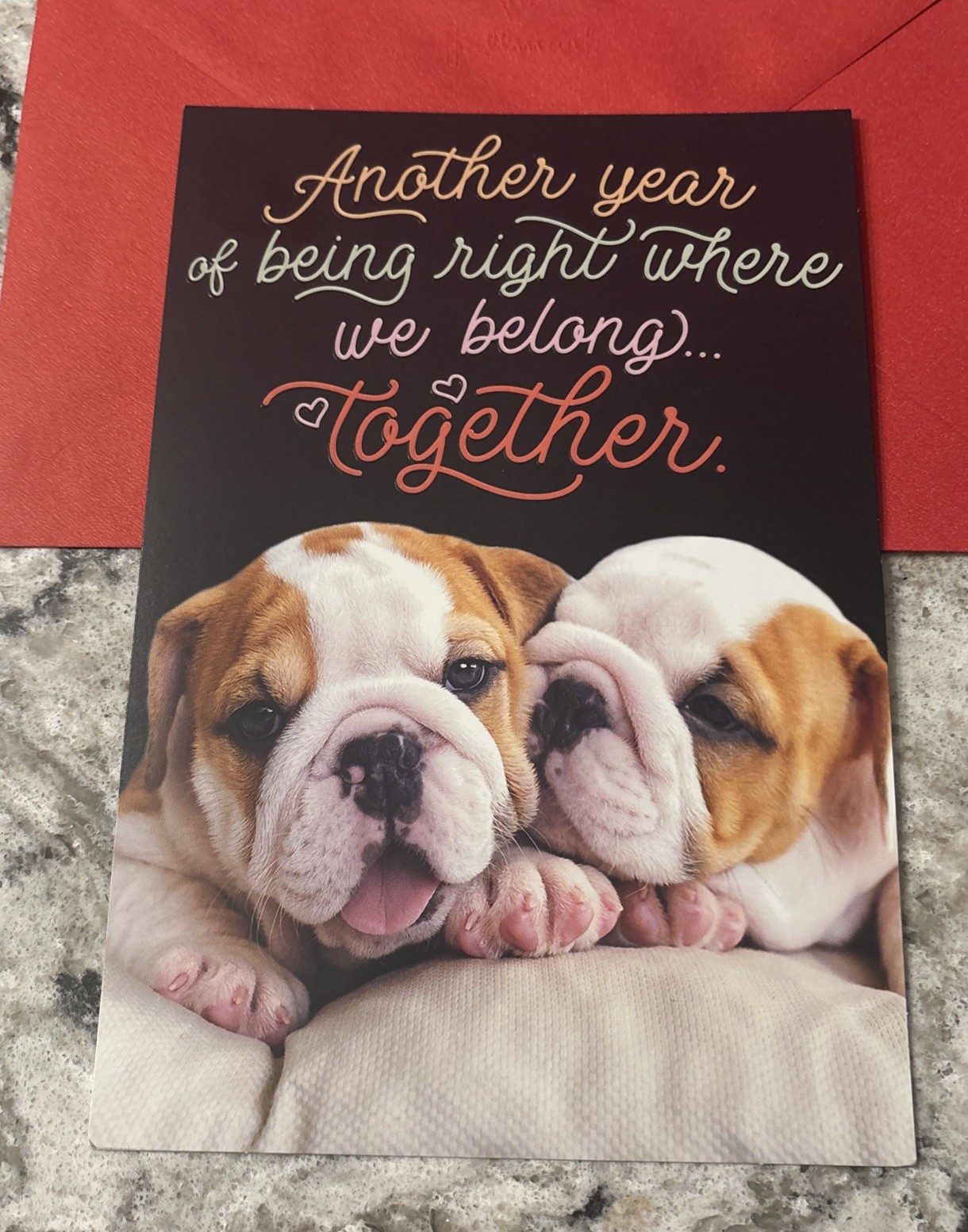 Happy Anniversary Husband Wife English Bulldog 5.5”x8” Hallmark Greeting Card