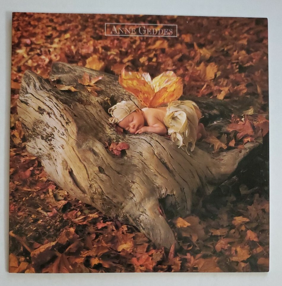 Anne Geddes “Woodland Fairy” blank notecard, Portal Publications, unused