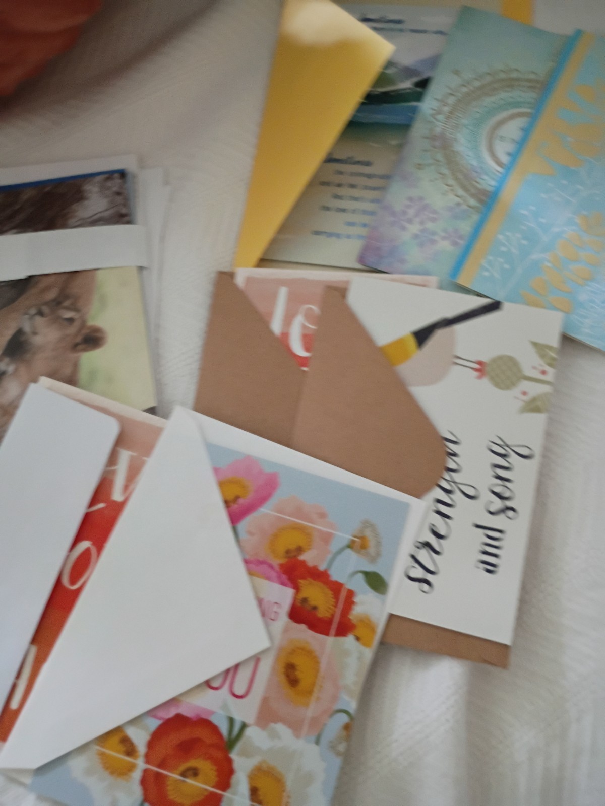 Greeting Cards/Notes Cards NEW w/Envelopes HUGE LOT Good Variety+ Box Organizer